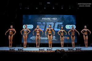 FIGURE +163